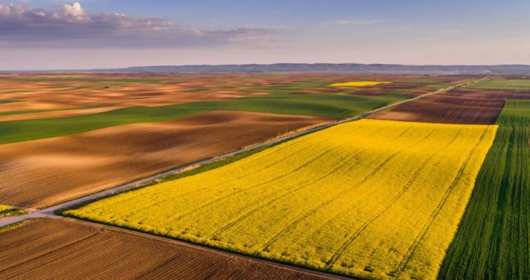 Visiongain Publishes Biofuel Industry Market Report 2024-2034