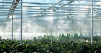 Visiongain Publishes Commercial Greenhouse Market Report 2024-2034