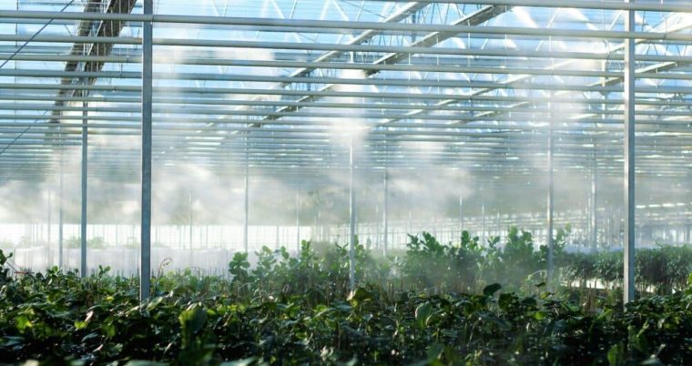 Visiongain Publishes Commercial Greenhouse Market Report 2024-2034