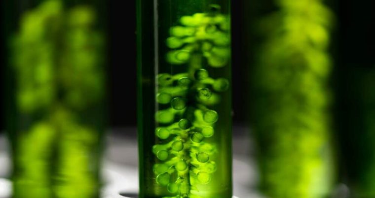 Artificial Photosynthesis Market