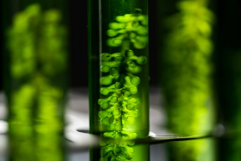 Artificial Photosynthesis Market Report 2024-2034