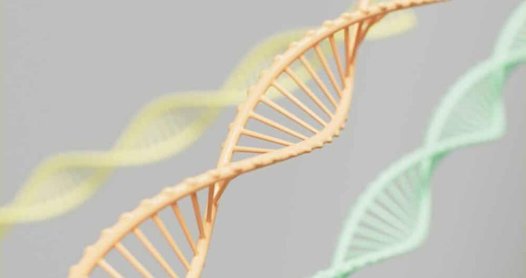 Synthetic Biology Market