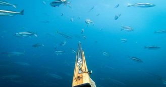 Autonomous Underwater Vehicle (AUV) Market