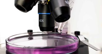 Precision Oncology: From Biomarkers to Market Impact