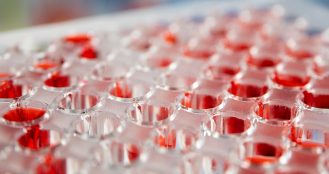 Scale vs Specialisation: Defining the Competitive Edge for CDMOs