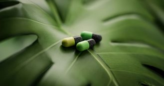 Longevity Market to Grow at 8.6% CAGR as Institutional Adoption Accelerates