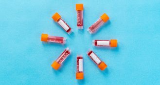 Women’s Clinical Trials & CROs Market Report 2026-2036: 8.5% CAGR